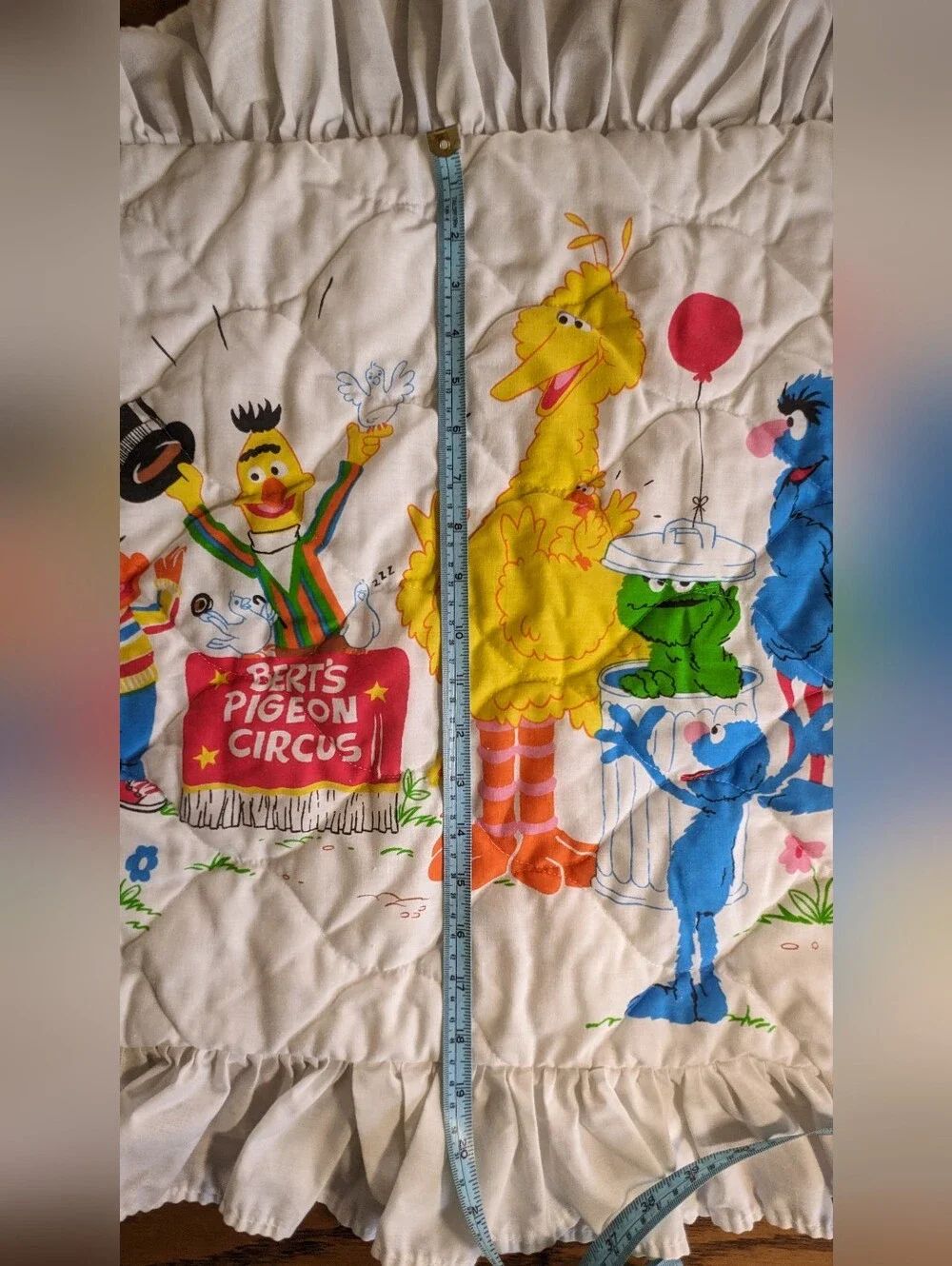 Sesame Street Ruffled Pillow Cover Vintage Bert's Pigeon Circus